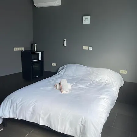 住宿加早餐酒店 Des Choraux 3*